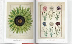A Garden Eden 40th Ed