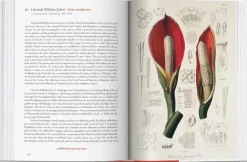 A Garden Eden 40th Ed