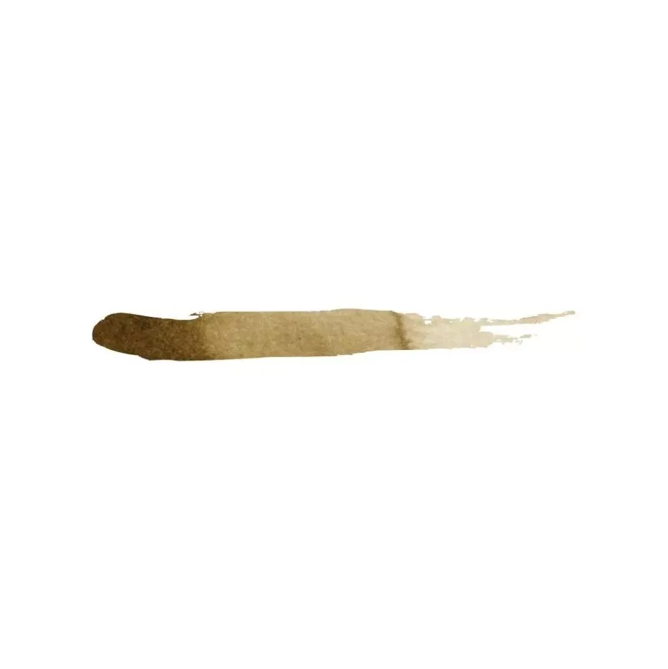 Acuarela concentrada Wood Prima