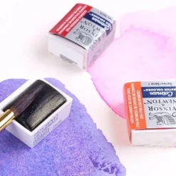 Acuarela medio godet Professional Winsor and Newton