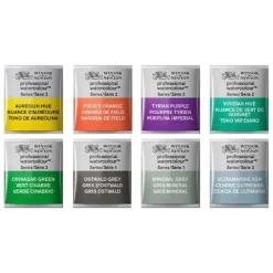 Acuarela medio godet Professional Winsor and Newton