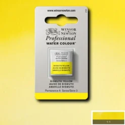 Acuarela medio godet Professional Winsor and Newton