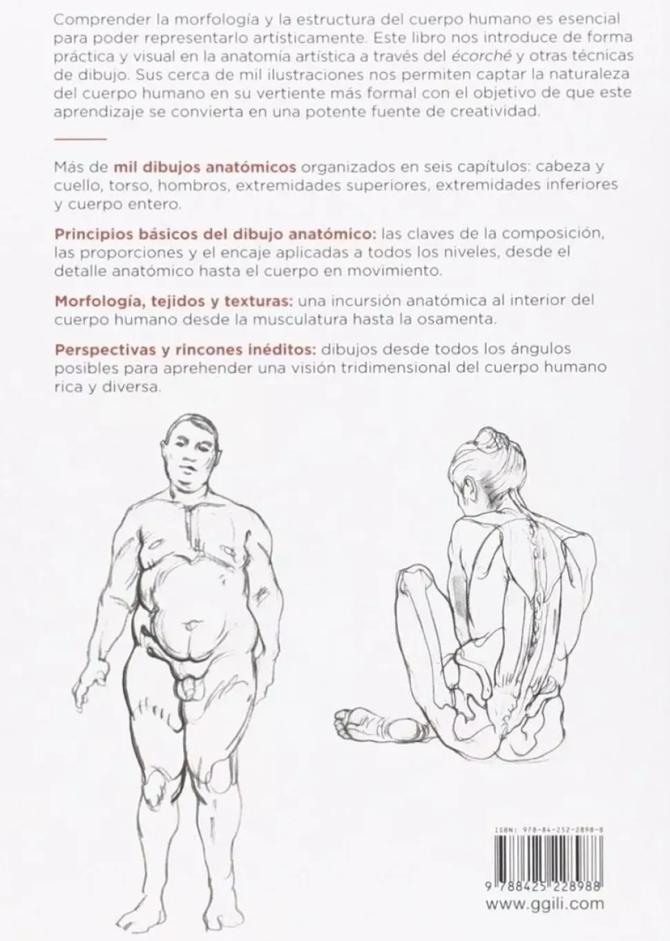 Anatomía artística 01