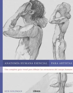 Anatomía humana esencial para artistas