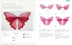 Beautiful Butterflies and Flowers