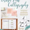 Brush Pen Calligraphy