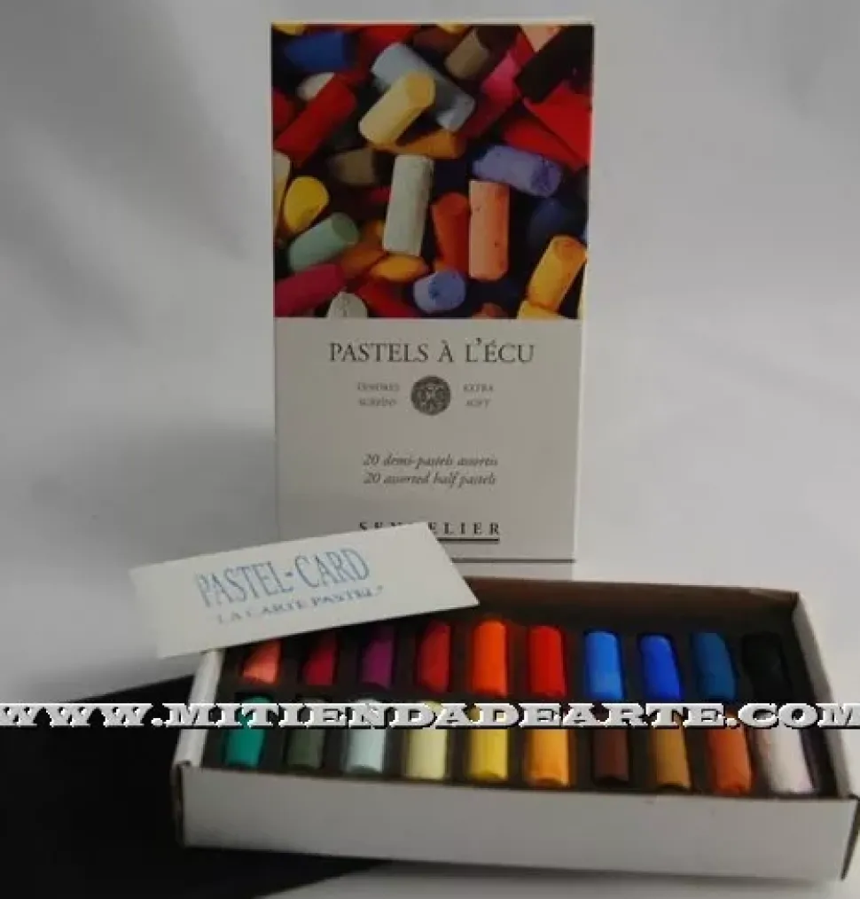 Caja de 20 medios-pastel de Sennelier