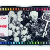Caja plástico 48 pasteles blandos surtidos Conté à Paris