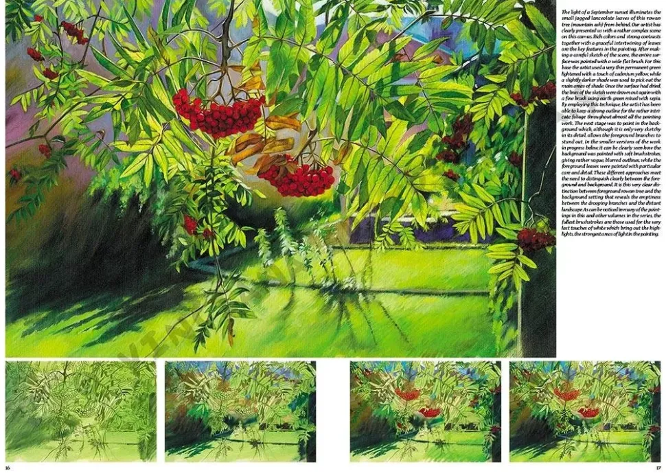 Colección Leonardo 45 Árboles y hojas
