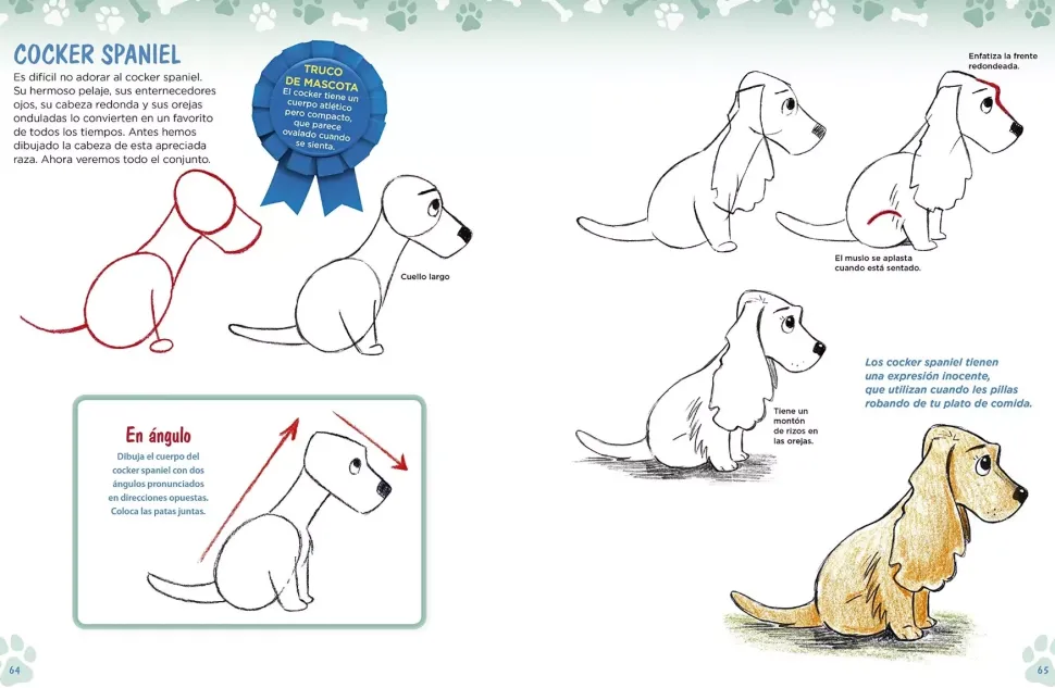 Como dibujar perros y gatos a partir de formas básicas