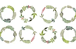 Creative calligraphy