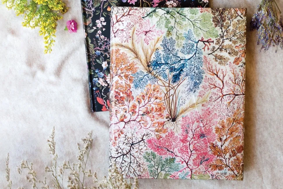 Cuaderno de tapa dura Midi rayado Anémonas Paperblanks 12x18cm 120g/m²