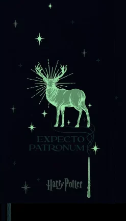 Cuaderno edición limitada Wizarding World Expecto Patronum Harry Potter 13x21cm Moleskine