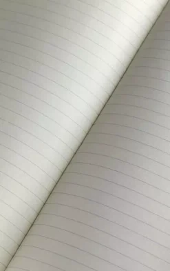 Cuaderno Rojo Clásico Tapa Dura Rayas 9x14cm Moleskine