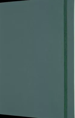 Cuaderno Verde Bosque Rayas tapa blanda Pro Moleskine 19x26cm