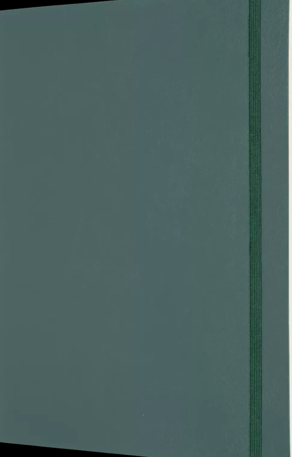Cuaderno Verde Bosque Rayas tapa blanda Pro Moleskine 19x26cm