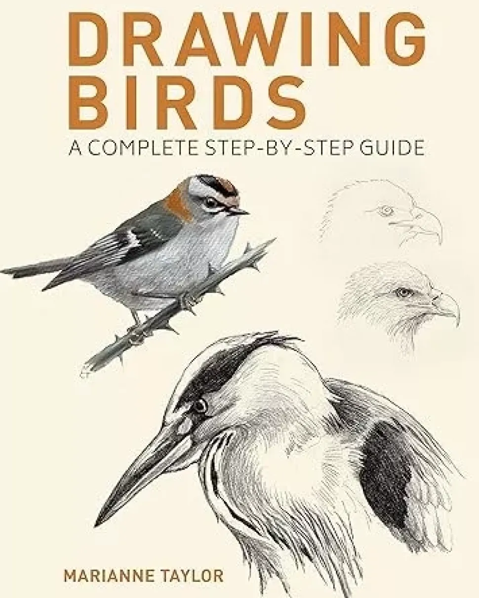 Drawing Birds A Complete Step-by-Step Guide