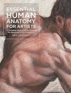 Essential Human Anatomy for Artist