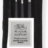 Estuche con tres pinceles Marta Watercolour Professional Winsor & Newton