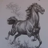 Estudios de dibujo artístico por Carlos Freixas ES17 Caballos