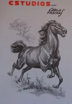 Estudios de dibujo artístico por Carlos Freixas ES17 Caballos