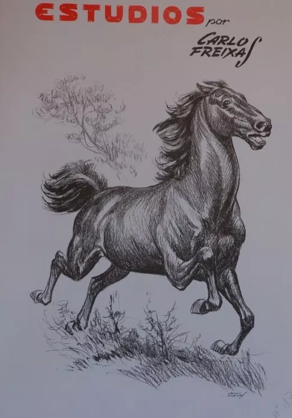 Estudios de dibujo artístico por Carlos Freixas ES17 Caballos