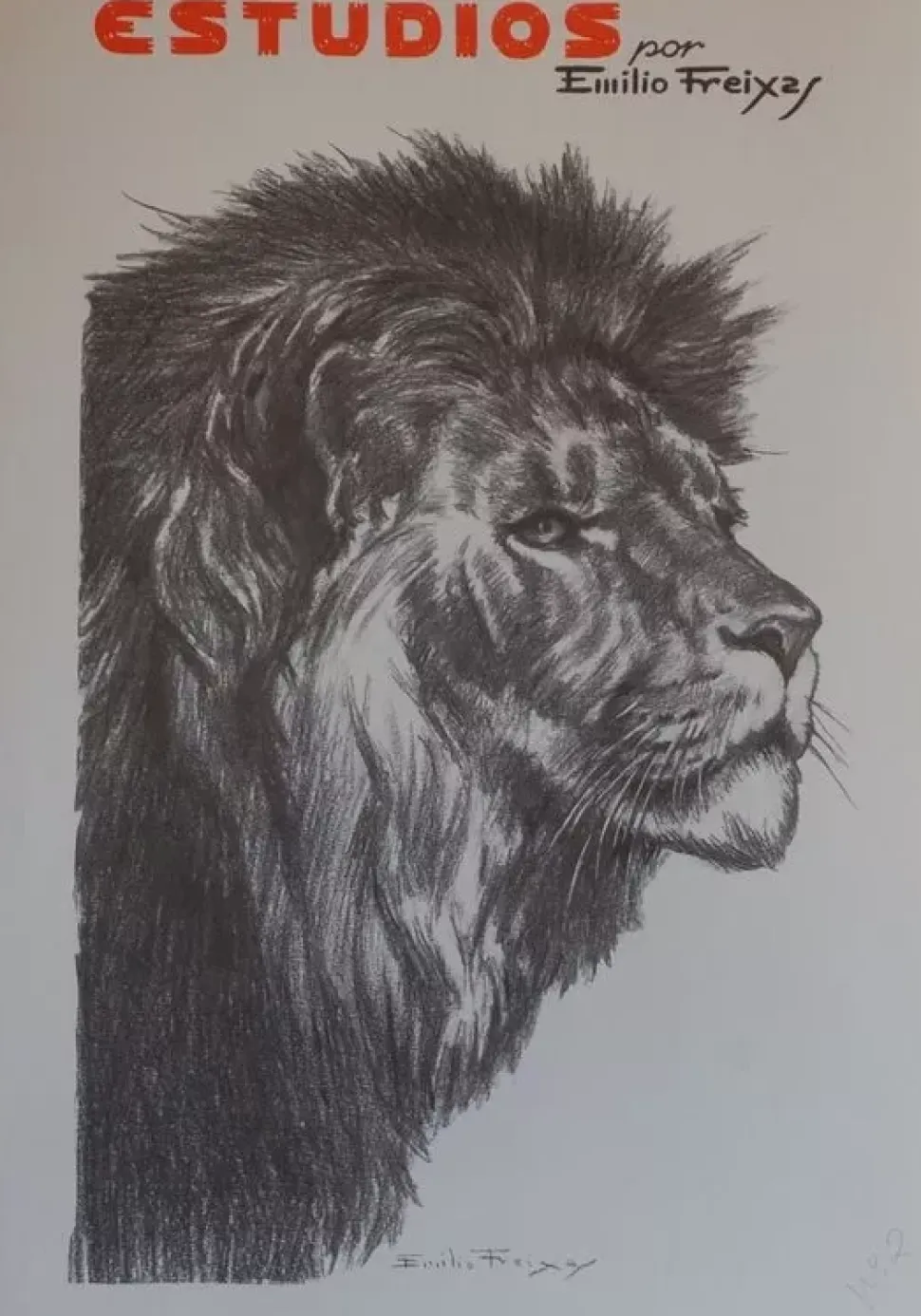 Estudios de dibujo artístico por Emilio Freixas ES02 Cabezas de animales