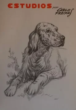 Estudios de dibujo artístico por Carlos Freixas ES27 Perros