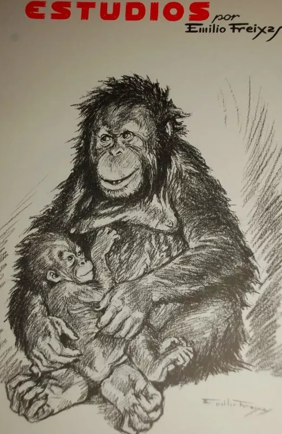 Estudios de dibujo artístico por Emilio Freixas ES06 Figuras animales