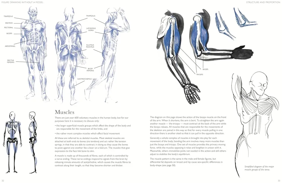 Figure Drawing without a Model Anatomy movement and character expression from memory and imagination