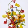 Flower Colour Theory