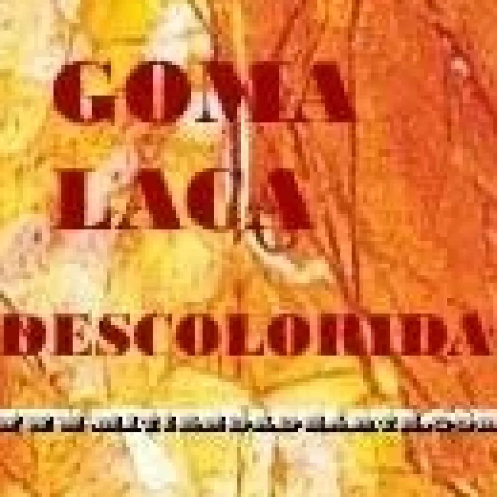 Goma Laca descolorida en escamas 80 gr. Sennelier