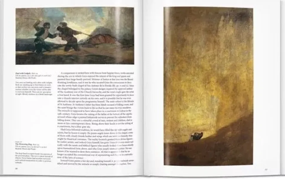 Goya Serie Basic Art