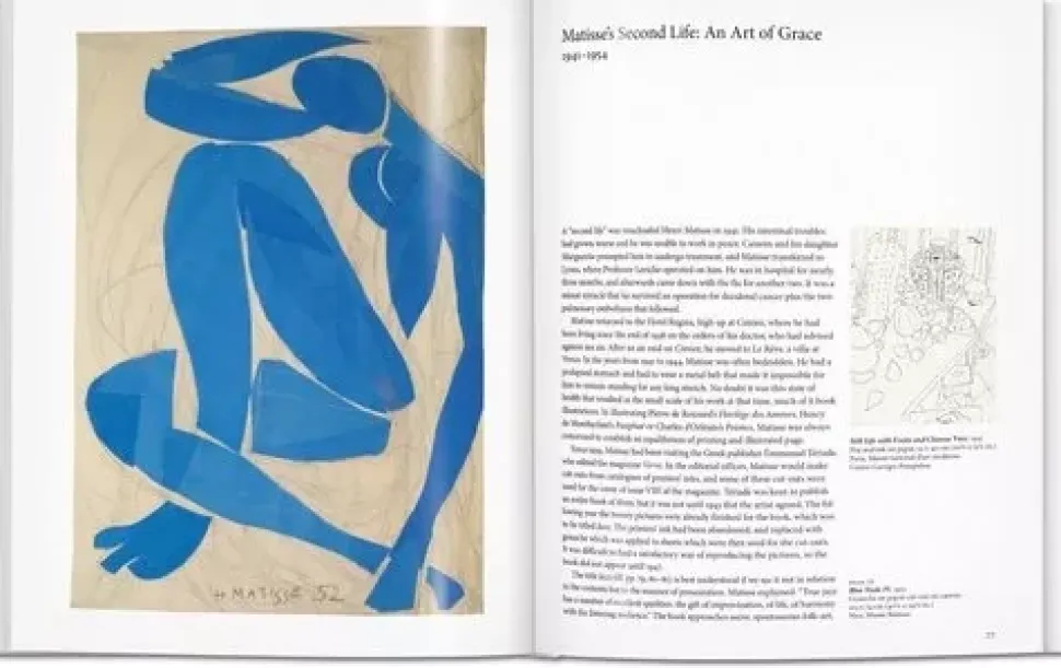 Henri Matisse Basic Art Series