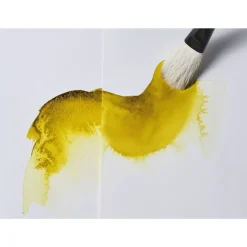 Hiel de buey Winsor & Newton 75ml