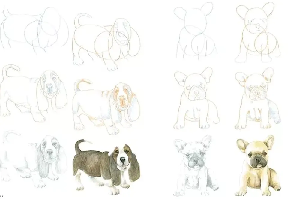 How to Draw Puppies in Simple Steps