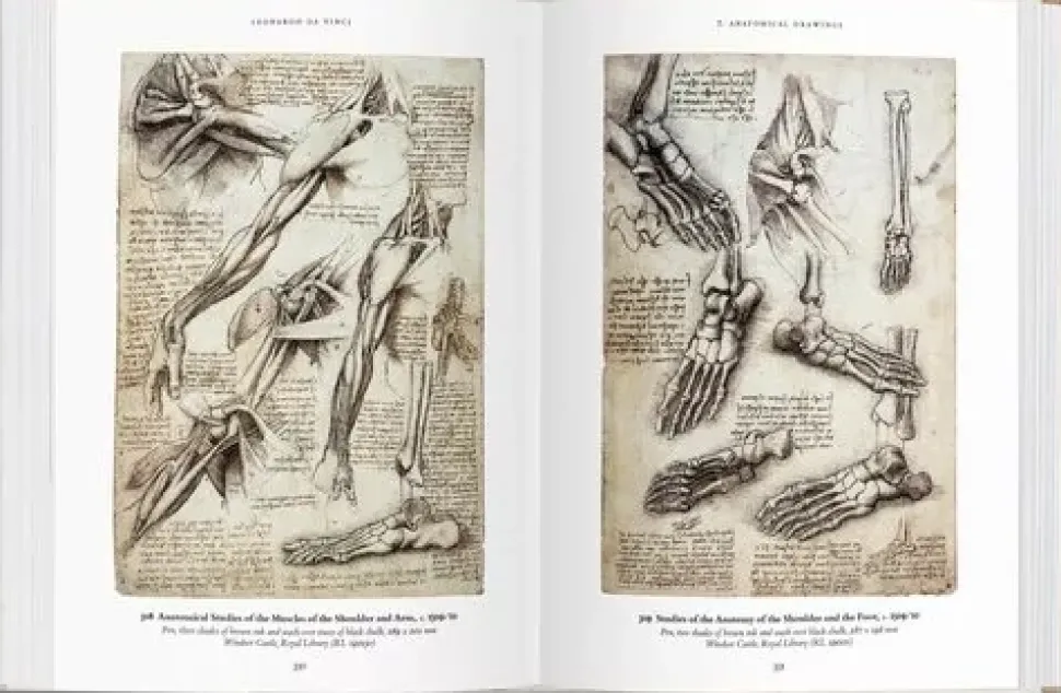 Leonardo Da Vinci Obra gráfica