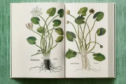 Leonhart Fuchs The New Herbal