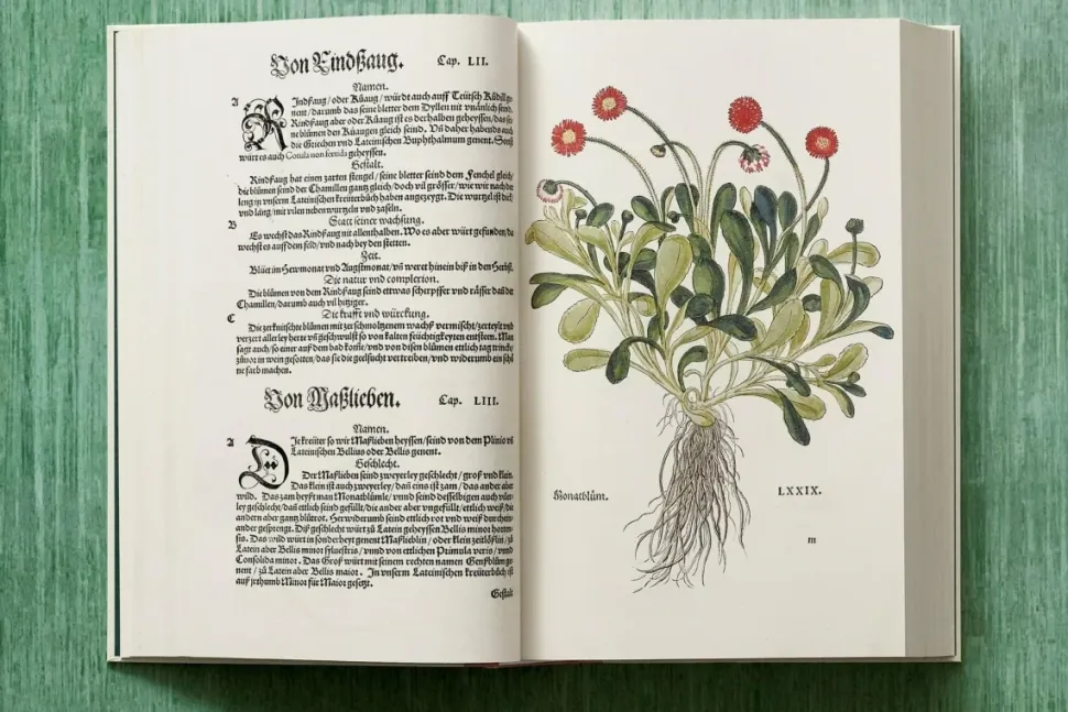 Leonhart Fuchs The New Herbal
