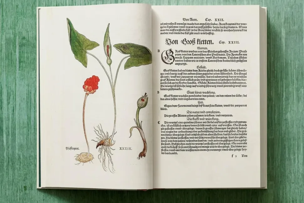 Leonhart Fuchs The New Herbal