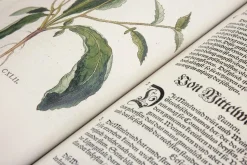 Leonhart Fuchs The New Herbal
