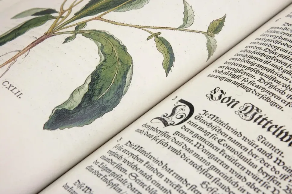 Leonhart Fuchs The New Herbal