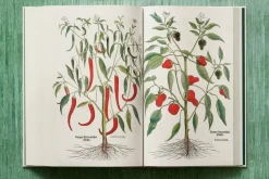 Leonhart Fuchs The New Herbal