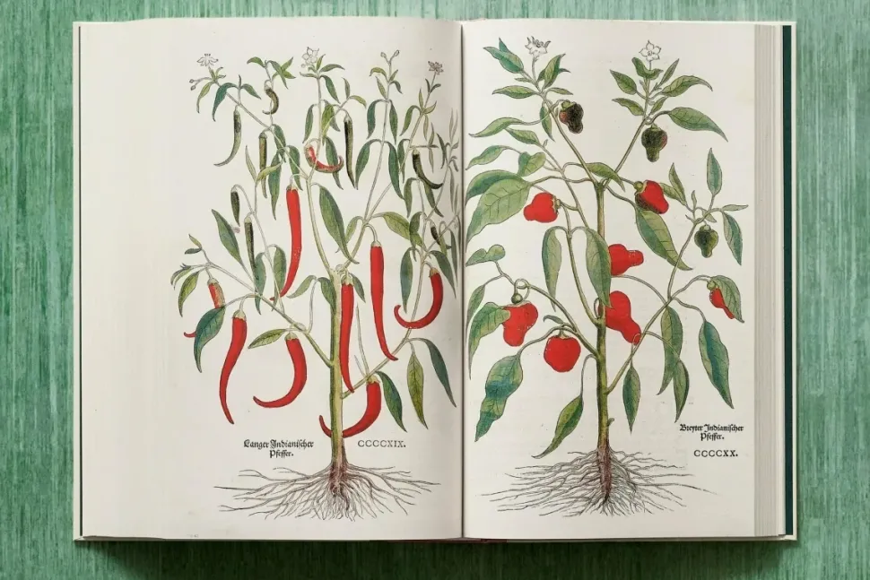 Leonhart Fuchs The New Herbal