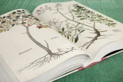 Leonhart Fuchs The New Herbal
