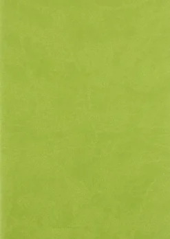 Libreta cosida con puntos Verde anís A5 Rhodia