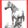 Láminas de dibujo artístico por Emilio Freixas SR155 Caballos 3