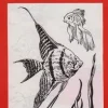 Láminas de dibujo artístico por Emilio Freixas SR33 Peces y flora acuática