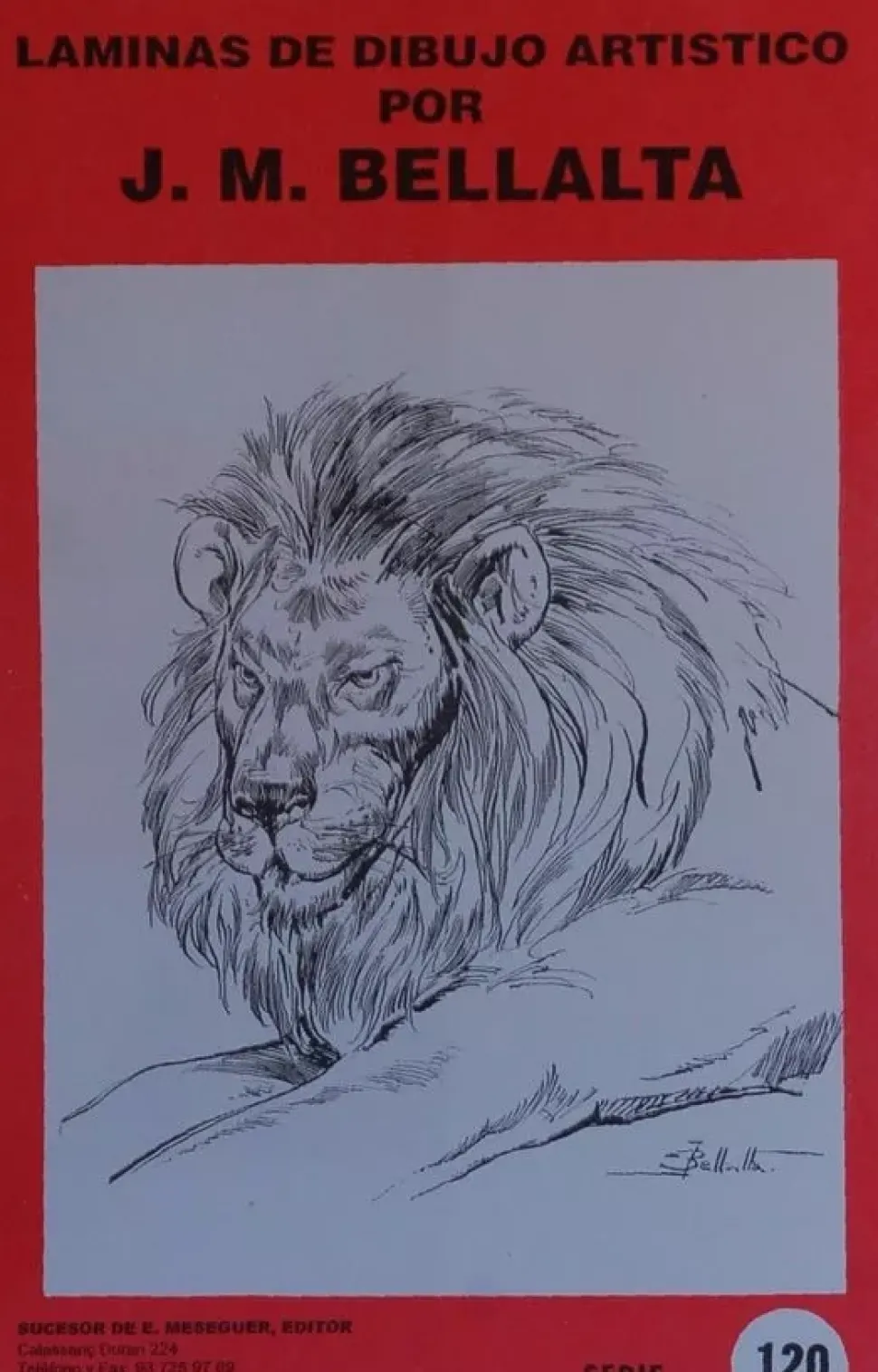 Láminas de dibujo artístico por J.M. Bellalta 120 Animales salvajes