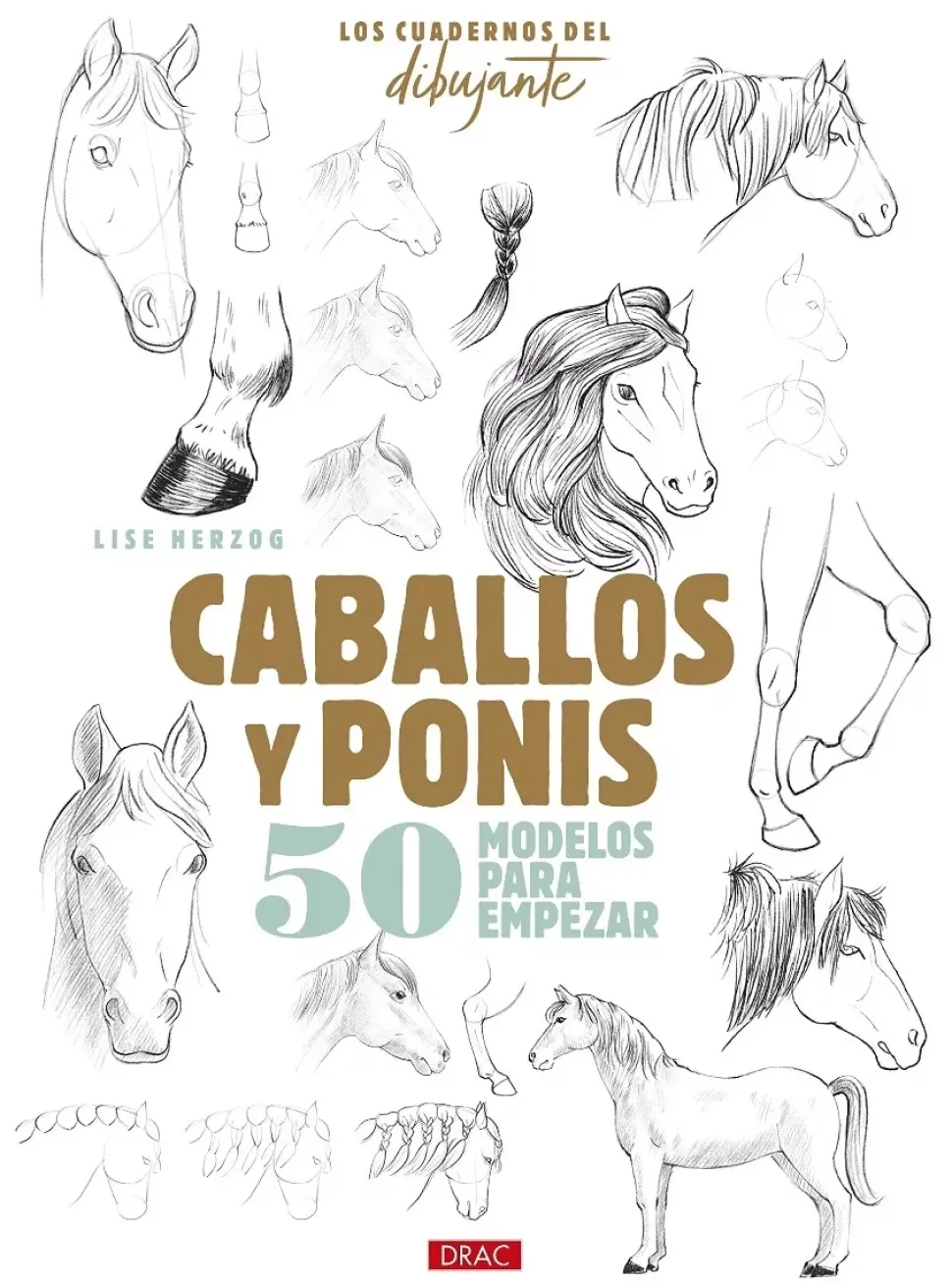 Los cuadernos del dibujante Caballos y Ponis